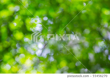 abstract blur of nature with the bokeh of light abstract blur of nature with the bokeh of light 55456270