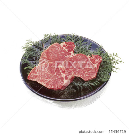 Meat fillet-block-sketch Meat fillet-block-sketch 55456719