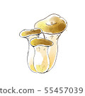 Watercolor-style illustrations of mushrooms and eryngii set of 3 55457039