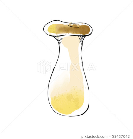 Watercolor style illustration of mushrooms and eryngii B type 55457042