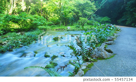 Akiyoshi-dong 2 55457134