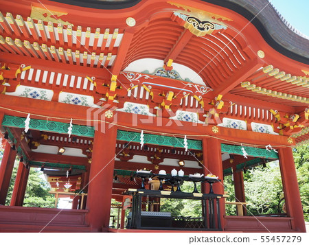 鶴岡八幡神社少女和婚禮前的祭品 鶴岡八幡神社少女和婚禮前的祭品 55457279
