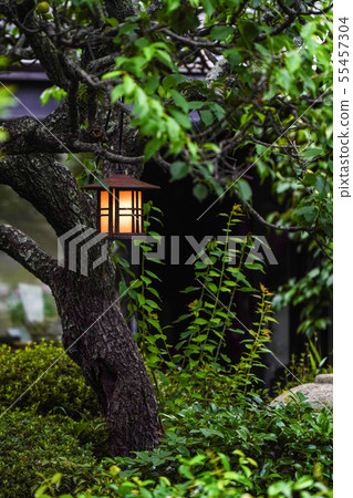 Garden with a retro lantern Garden with a retro lantern 55457304