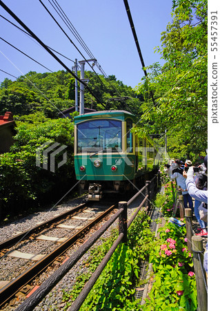 Enoden 20 type vehicle passing the side of Kamakura Gorei Shrine Enoden 20 type vehicle passing the side of Kamakura Gorei Shrine 55457391