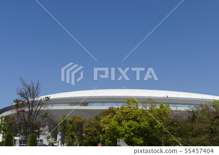 長井競技體育場大阪府 55457404