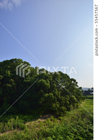 [Osaka Prefecture Fujiidera City] World Heritage-Old City Old Tombs 55457567