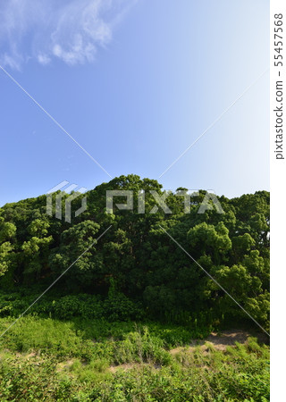 [Osaka Prefecture Fujiidera City] World Heritage-Old City Old Tombs 55457568