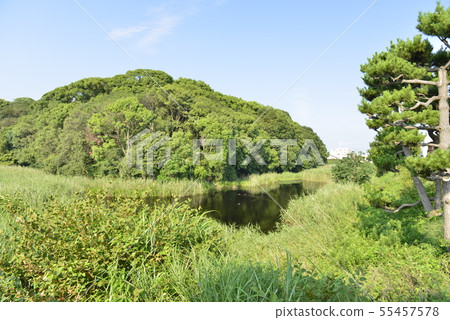 [Osaka Prefecture Fujiidera City] World Heritage-Old City Old Tombs 55457578