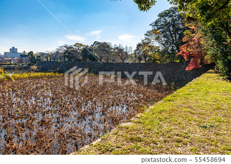 Nakahori of Hikone Castle seen from Effort Garden 55458694