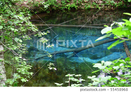 God's Pond God's Pond 55458968