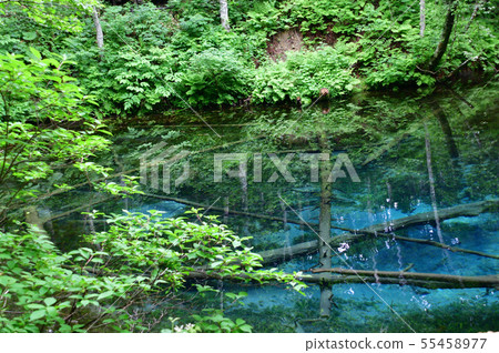 上帝的池塘 上帝的池塘 55458977