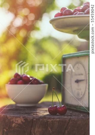 Beautiful background with cherries and scales Beautiful background with cherries and scales 55459042