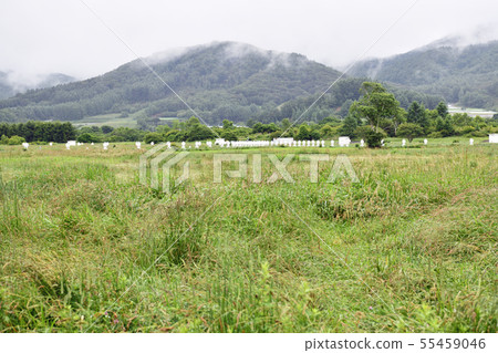 Nobeyama高原Nobeyama區 55459046