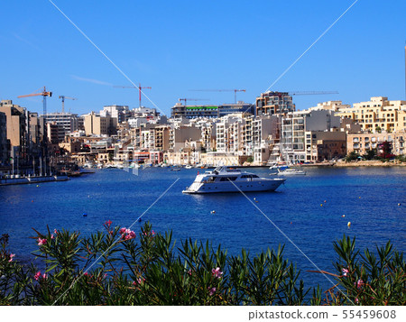 斯皮諾拉灣 55459608