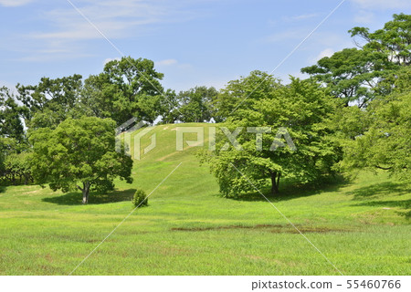 [Osaka Prefecture Fujiidera City] World Heritage-Old City Old Tombs (Kuro Murofan) 55460766