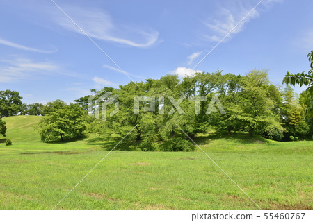 [大阪府藤井市]世界遺產 - 舊城舊墓（Kuro Murofan） 55460767