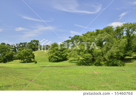 [大阪府藤井市]世界遺產 - 舊城舊墓（Kuro Murofan） 55460768