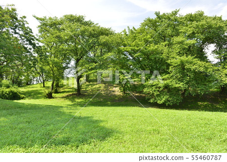 [Osaka Prefecture Fujiidera City] World Heritage-Old City Old Tombs (Kuro Murofan) 55460787