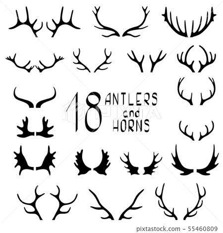 Set of 18 deer antlers and horns isolated on white Set of 18 deer antlers and horns isolated on white 55460809