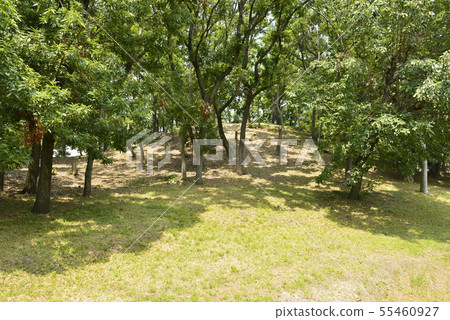[大阪府藤井寺]世界遺產 - 舊城古墓（Otorizuka Kofun） 55460927