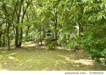 [大阪府藤井寺]世界遺產 - 舊城古墓（Otorizuka Kofun） 55460928