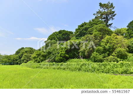 [大阪府哈比野野市]世界遺產古城古墳群 55461567