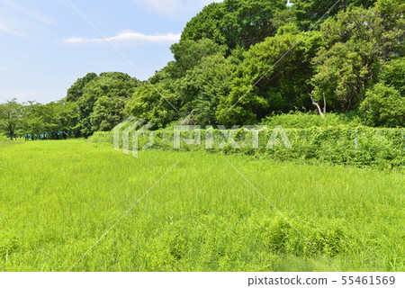 [Habikino City, Osaka Prefecture] World Heritage Site, Furuichi Tumulus Cluster 55461569