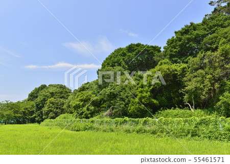 [大阪府哈比野野市]世界遺產古城古墳群 55461571