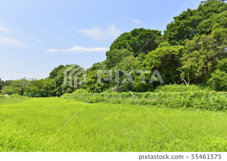 [大阪府哈比野野市]世界遺產古城古墳群 55461575