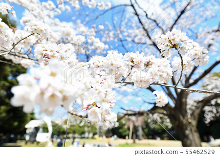 市景埼玉市春日卡 55462529