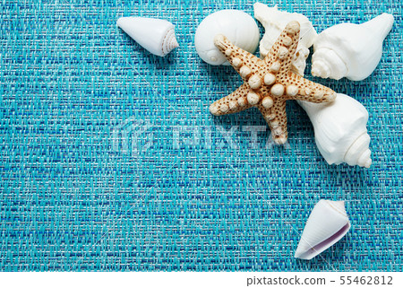 Seashell (Summer image) Seashell (Summer image) 55462812