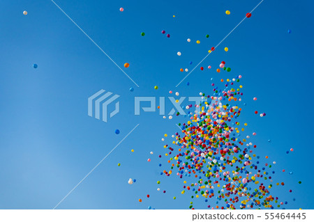  Multicolored balloons flying to the blue sky 55464445