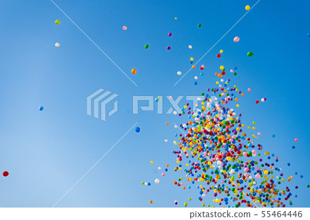 Multicolored balloons flying to the blue sky 55464446