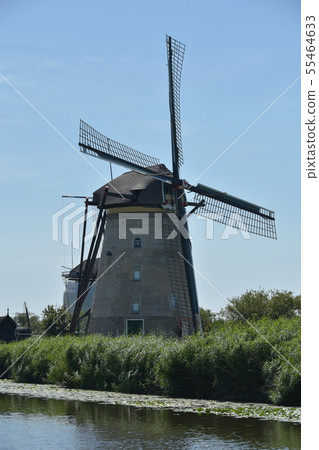 Windmill in Kinderdijk, The Netherlands 55464633