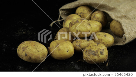Potatoes on black surfase in a canvas bag. Fresh dirty raw potato in a pile Potatoes on black surfase in a canvas bag. Fresh dirty raw potato in a pile 55465420