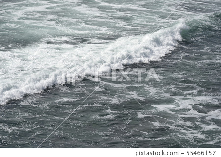 La Jolla Beach, San Diego 55466157