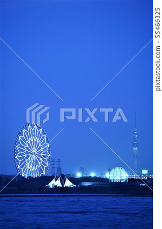 Kasai Rinkai公園夜視圖 Kasai Rinkai公園夜視圖 55466325