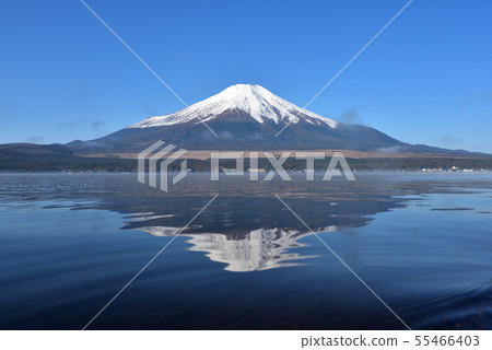 Mount Fuji, early morning, Lake Yamanaka 55466403