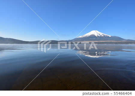 Mount Fuji, early morning, Lake Yamanaka 55466404