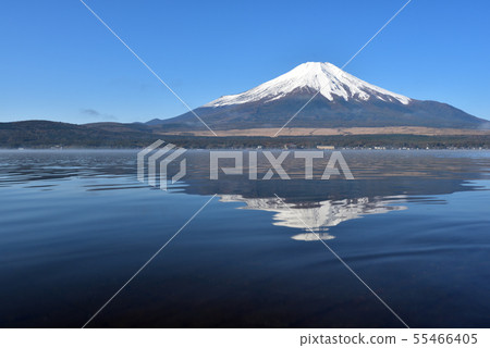 Mount Fuji, early morning, Lake Yamanaka 55466405