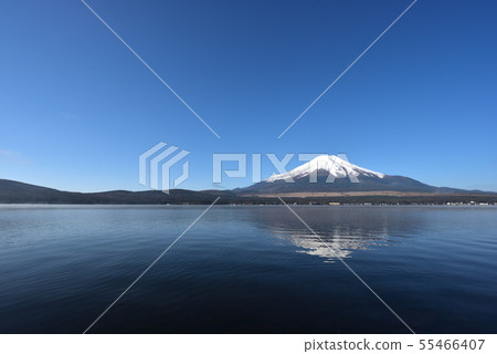 Mount Fuji, early morning, Lake Yamanaka 55466407