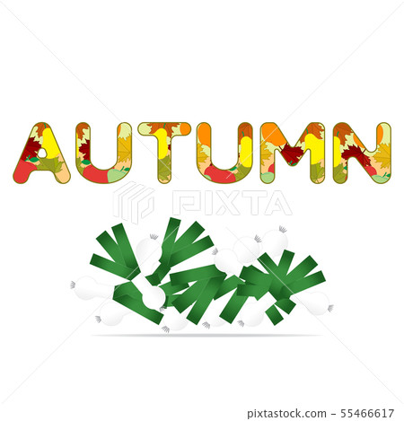 Illustration with garlic Harvest festival. 55466617