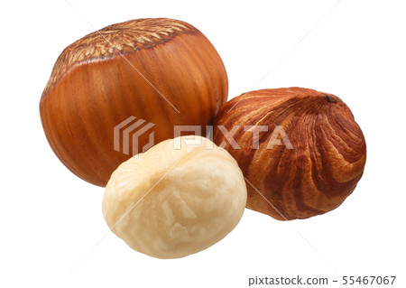 Hazelnuts coryllus avellana, paths Hazelnuts coryllus avellana, paths 55467067