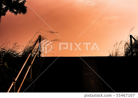 在回家的路上夏天 在回家的路上夏天 55467107