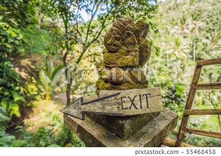 Balinese statue and exit sign against the backdrop of nature 55468458