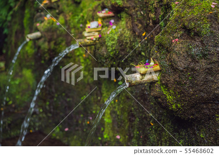 Daily offerings - canang sari is very important in Bali, Indonesia 55468602