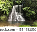 Waterfall 55468850