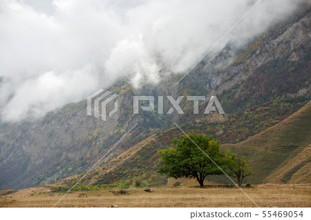 Picturesque landscape of mountains with green vegetation, tree,cloudy gloomy sky Picturesque landscape of mountains with green vegetation, tree,cloudy gloomy sky 55469054
