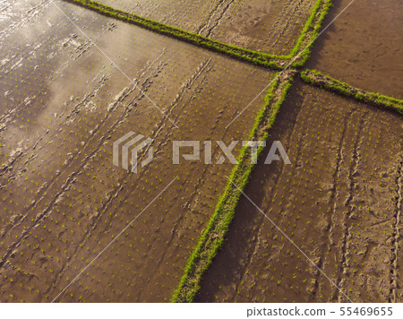 Rice Terrace Aerial Shot. Image of beautiful terrace rice field 55469655