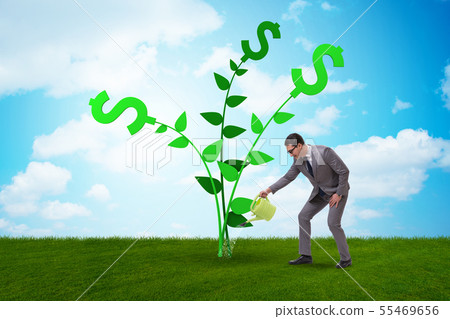 Money tree concept with businessman watering Money tree concept with businessman watering 55469656